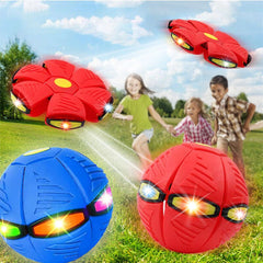 FLYBALL™ – PALLA FRISBEE