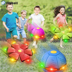 FLYBALL™ – PALLA FRISBEE