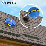 FLYBALL™ – PALLA FRISBEE